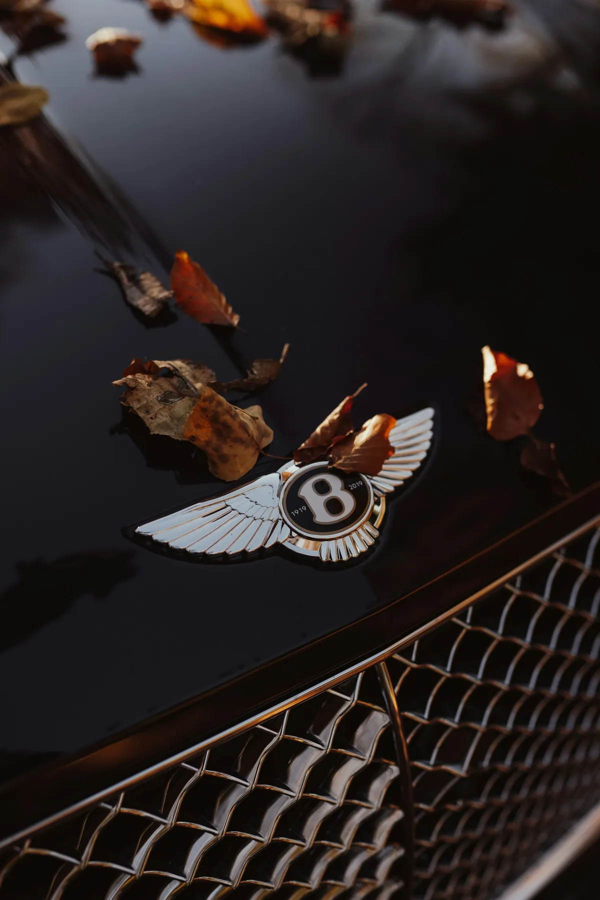 Bentley Continental GT detail